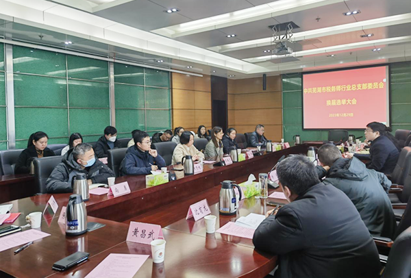 中共芜湖市税务师行业总支部委员会顺利完成换届选举